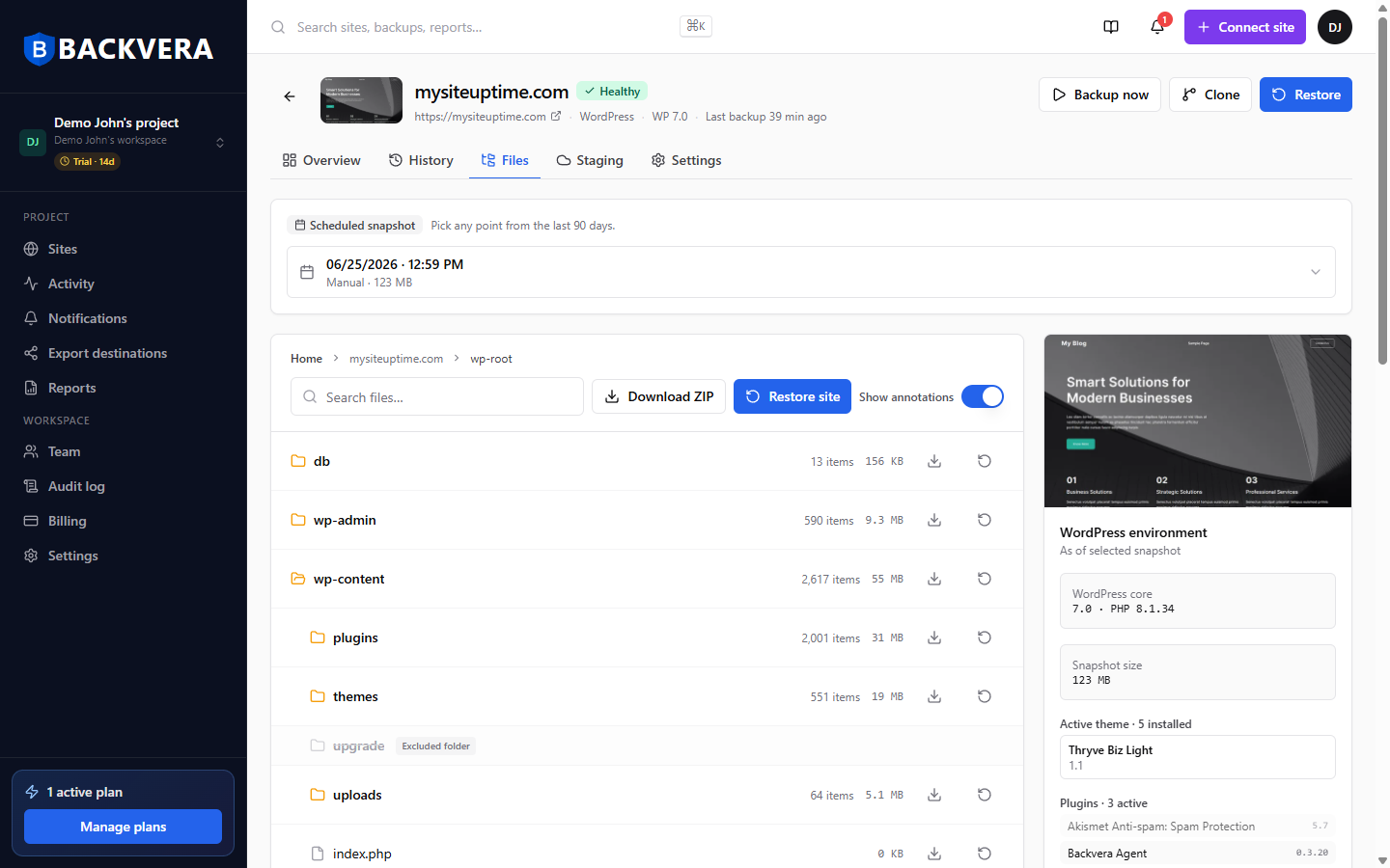 The Files tab, where files and folders can be downloaded as a ZIP